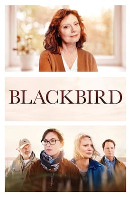 Image Blackbird (2020)