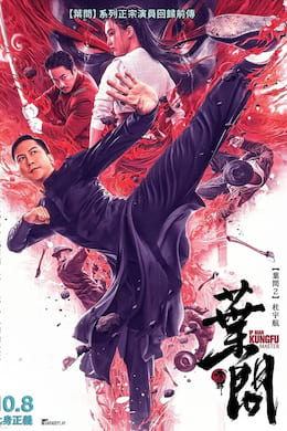 Image Ip Man - Kung Fu Master