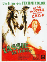 Image La fidèle Lassie