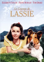 Image Le courage de Lassie