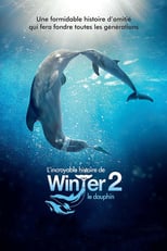 Image L'incroyable histoire de Winter le dauphin 2