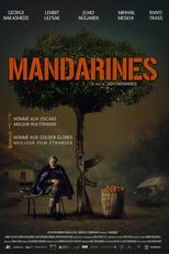 Image Mandarines
