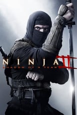 Image Ninja 2: Ombre d'une déchirure
