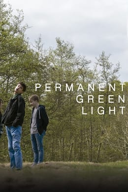 Image Permanent Green Light