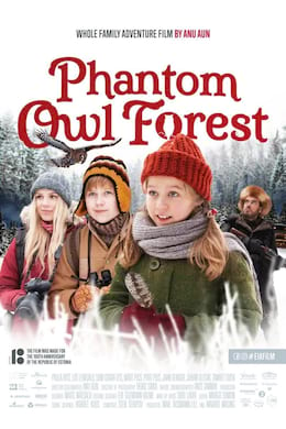 Image Phantom Owl Forest