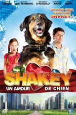 Image Shakey, un amour de chien